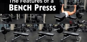 The Features of a Bench Press: A Complete Guide to Understanding Its Importance and Benefits